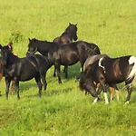 Nad Stawem * Lichtenstein Ostpreussen