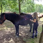 Nad Stawem Lichtenstein Ostpreussen