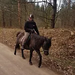 Nad Stawem * Lichtenstein Ostpreussen