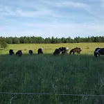 Nad Stawem * Lichtenstein Ostpreussen