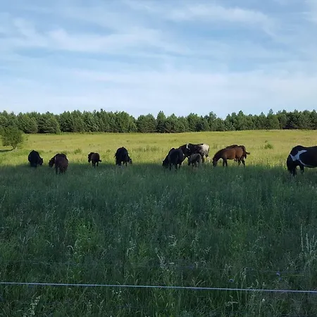 Nad Stawem * Gasiorowo (Olsztyn)